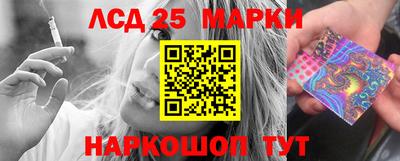 индика Чебоксары