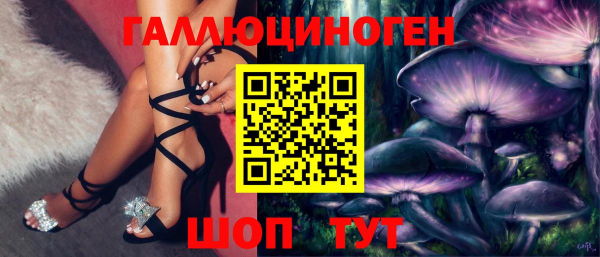 Миасс  наркотики  Вход с VPN  Галлюциногенные грибы Cubensis 